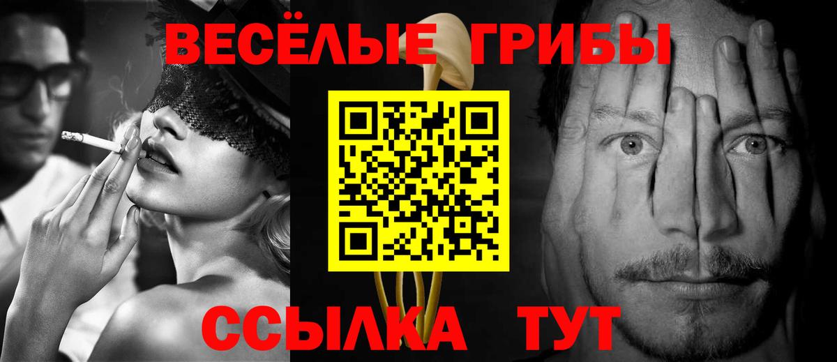 Галлюциногенные грибы Psilocybe  Вход с VPN  Междуреченск 